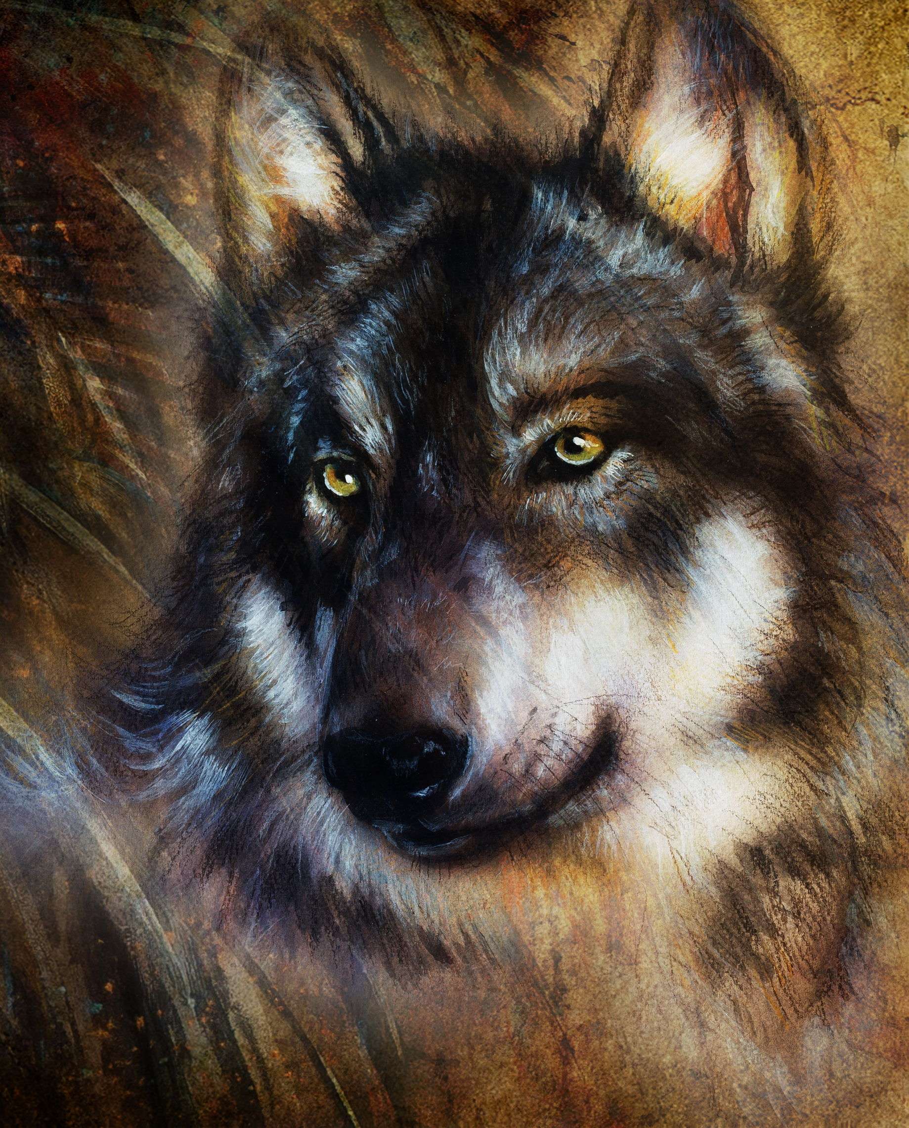 Golden Eyes Wolf
